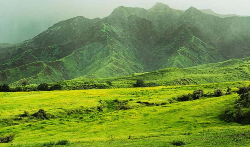 Mt. Aso & Takachiho Gorge Tour with Optional Boat Ride - Practical Details and Logistics
