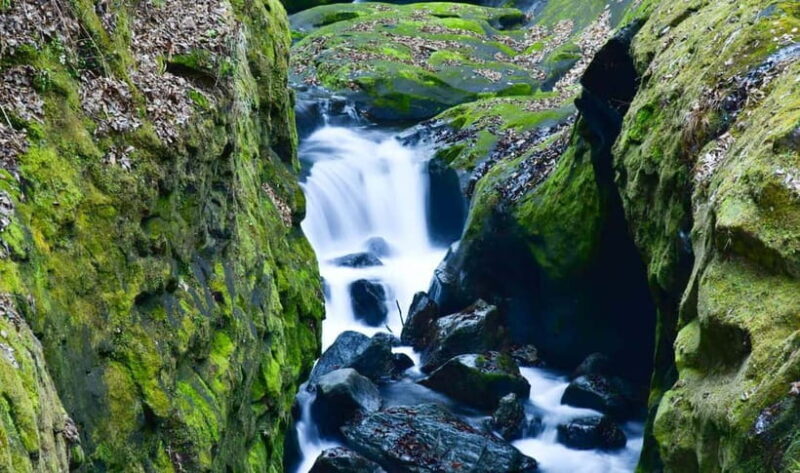Mt. Aso & Takachiho Gorge Tour with Optional Boat Ride - Who Is This Tour Best Suited For?