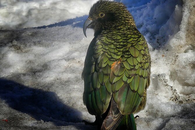 Mt Cook and Lake Tekapo 2 Day Small Group Tour From Queenstown - Traveler Photos