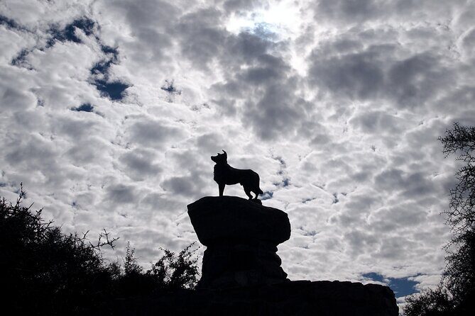 Mt Cook to Christchurch One-Way Small Group Tour via Lake Tekapo - FAQ