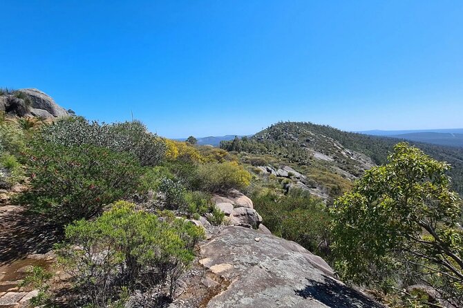 Mt. Cooke Half Day Hiking Experience - Overview of Mt. Cooke