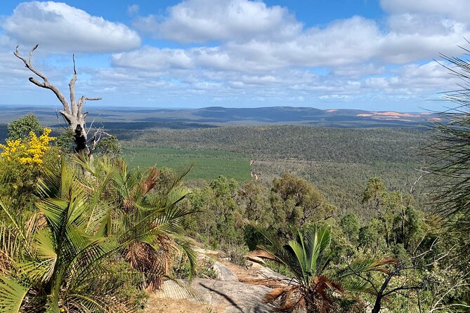 Mt. Cooke Half Day Hiking Experience - Hiking Trails and Difficulty Levels