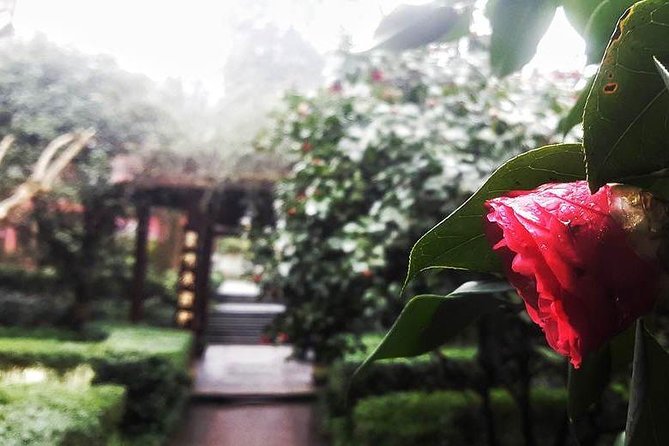 Mt Emei 1 Day Tour - Tour Details
