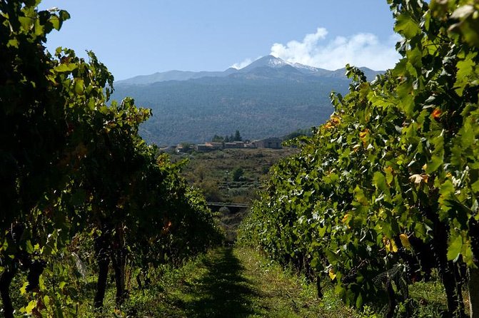 Mt Etna and Wine Tasting Tour From Catania - Common Questions