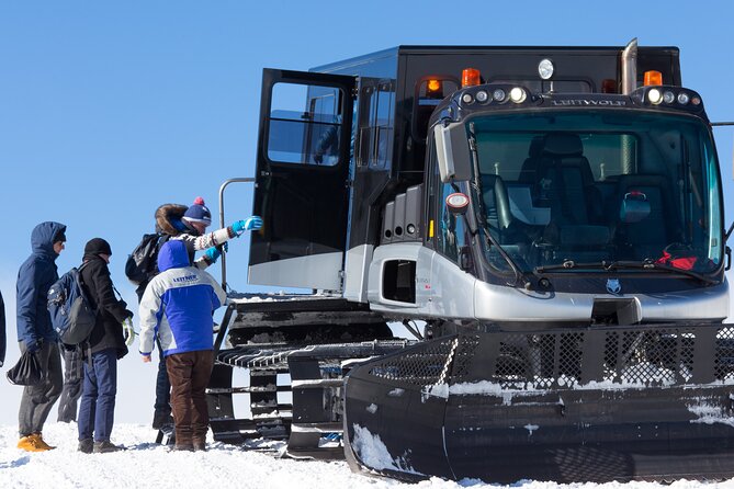 Mt. Etna: Cablecars Official Ticketing (South Side) - Reviews