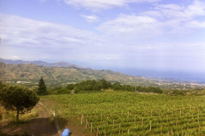 Mt. Etna Private Tour with Food and Wine Tasting - Good To Know