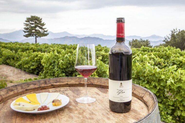 Mt. Etna Private Tour with Food and Wine Tasting - The Sum Up: Is It Worth It?