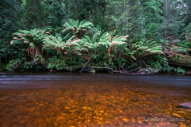 Mt Field and Styx Valley Photography Tour - Cancellation Policy