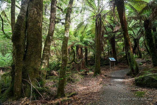 Mt Field and Styx Valley Photography Tour - Directions