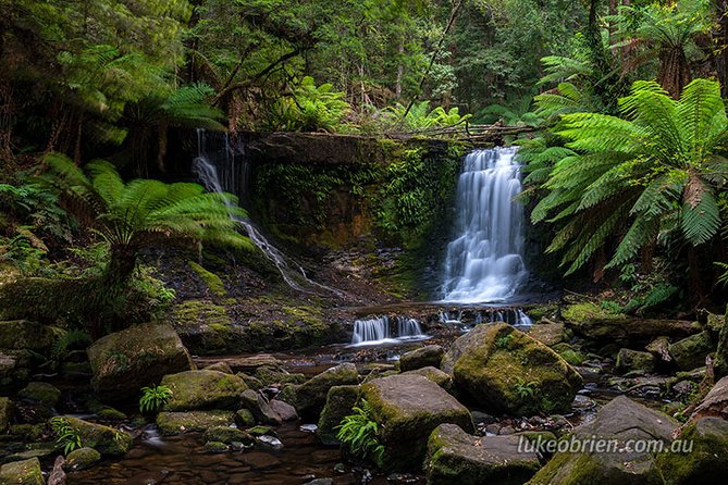 Mt Field and Styx Valley Photography Tour - Additional Information