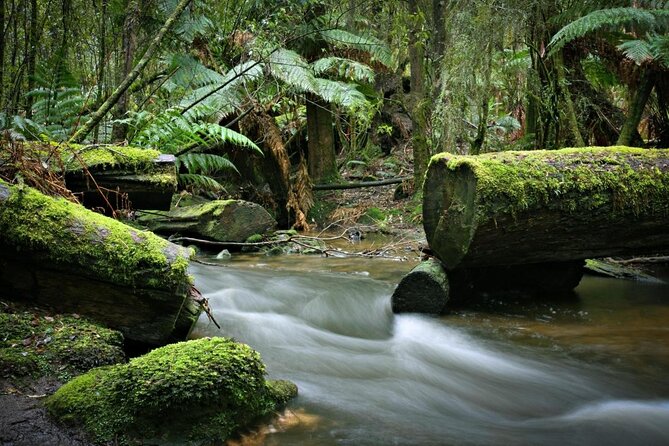 Mt Field and Styx Valley Photography Tour - Common Questions