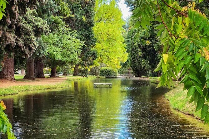 Mt Field National Park and Russell Falls with Bonorong Wildlife - Introduction