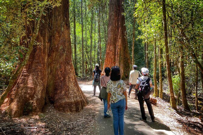 Mt Field National Park and Russell Falls with Bonorong Wildlife - Exploring the Itinerary in Detail