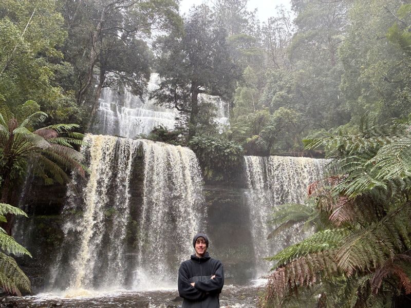 Mt Field National Park, Bonorong Wildlife & Mt. Wellington summit - A full day, despite the short duration label