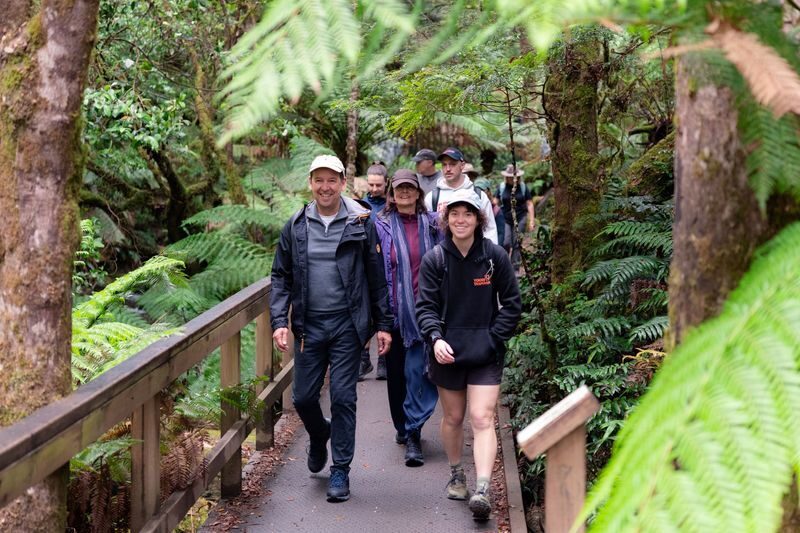 Mt Field National Park, Bonorong Wildlife & Mt. Wellington summit - Choose your route through Mt Field