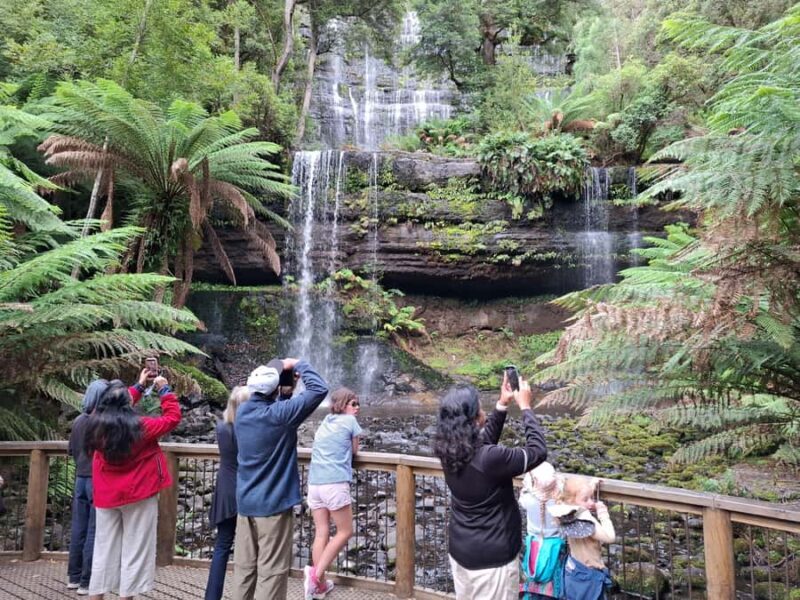 Mt Field Shore Excursion - Discovering Tasmania’s Natural Charm with the Mt Field Shore Excursion