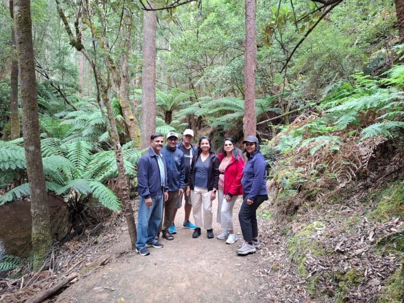 Mt Field Shore Excursion - Final Thoughts on the Mt Field Shore Excursion