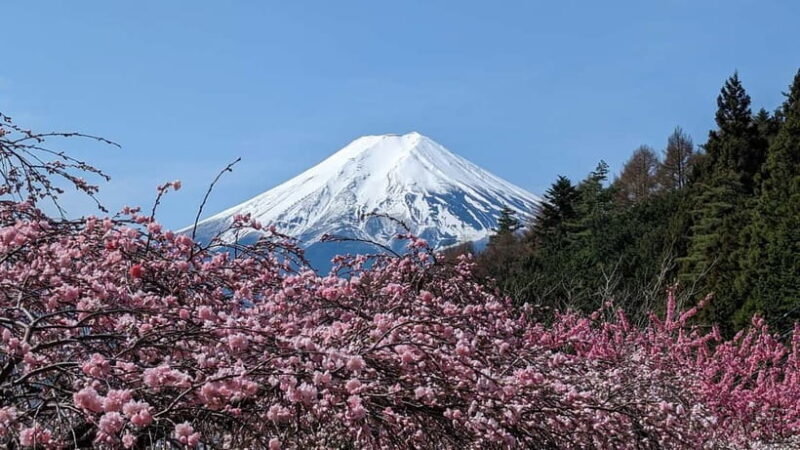 Mt. Fuji: 1-Day Private Tour from Tokyo with Certified Guide - Final Thoughts: Is This Tour for You?  