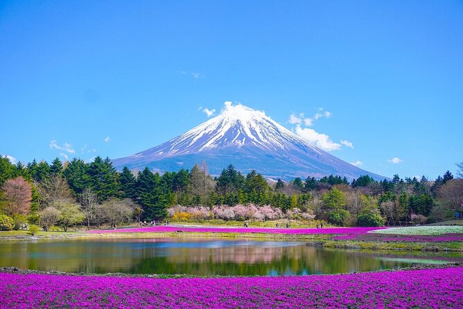 Mt Fuji :1-Day Private Tour With English-Speaking Driver - Pricing and Booking