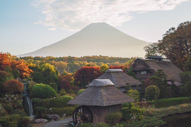 Mt Fuji :1-Day Private Tour With English-Speaking Driver - Reviews