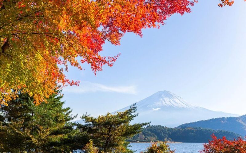 Mt Fuji : 10 hours Private Tour in Luxury Private Car - FAQ