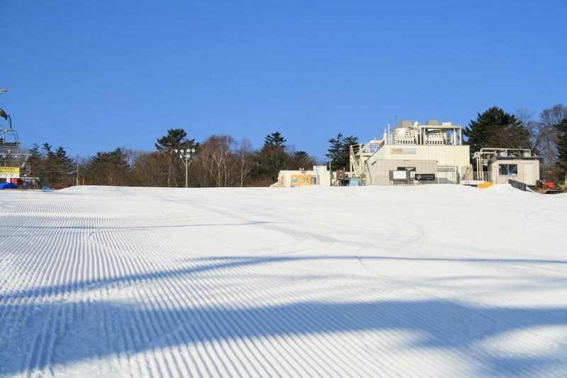 Mt. Fuji 2nd Station Yeti Snow Resort Snow Play/Skiing & Japanese Hot Spring Experience/Strawberry Picking Day Trip (Departing from Shinjuku/Ginza) - Toki no Sumika: a hot spring and seasonal berries