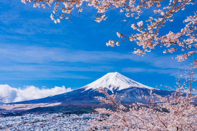 Mt. Fuji 5th & Gotemba Premium Outlets Tour (Disband at Outlets) - What the price buys, and what it doesn’t