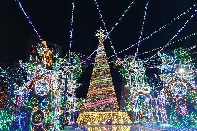 Mt. Fuji 5th Popular Spots & Sagamiko Illumination Tour fr Tokyo - Good To Know