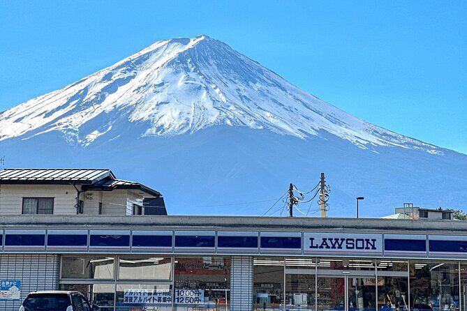 Mt. Fuji 5th Popular Spots & Sagamiko Illumination Tour fr Tokyo - The Sum Up
