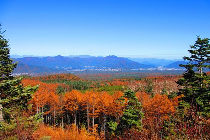 Mt. Fuji 5th St and Gotemba Outlets (Disband at Gotemba Outlets) - FAQ