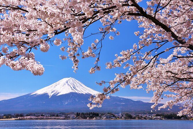 Mt. Fuji 5th St and Gotemba Outlets (Disband at Gotemba Outlets) - Final Thoughts