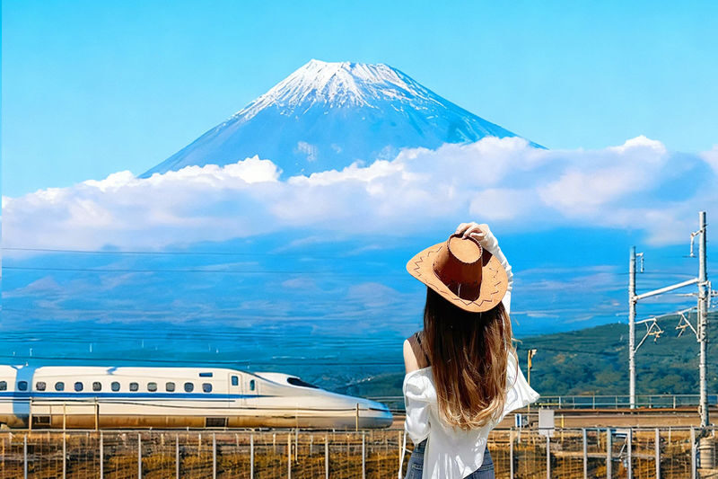 Mt. Fuji 5th Station & Hakone Owakudani & Ropeway + Pirate Ship Dual Experience (Upgrade to Bullet Train Round Trip Day Tour Available | Departing from Tokyo) - The essentials at a glance