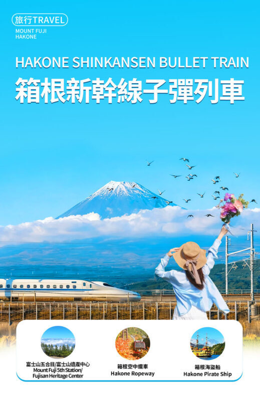 Mt. Fuji 5th Station & Hakone Owakudani & Ropeway + Pirate Ship Dual Experience (Upgrade to Bullet Train Round Trip Day Tour Available | Departing from Tokyo) - Tokyo to Fuji’s high mountain viewpoint