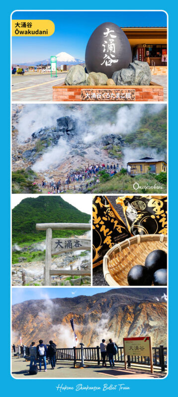 Mt. Fuji 5th Station & Hakone Owakudani & Ropeway + Pirate Ship Dual Experience (Upgrade to Bullet Train Round Trip Day Tour Available | Departing from Tokyo) - Lake Ashi by pirate ship, or by road