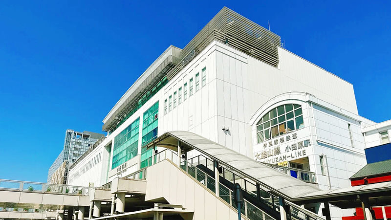 Mt. Fuji 5th Station & Hakone Owakudani & Ropeway + Pirate Ship Dual Experience (Upgrade to Bullet Train Round Trip Day Tour Available | Departing from Tokyo) - What the guides and group setup mean for you