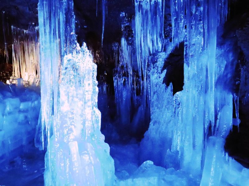 Mt. Fuji 5th Station, Ice Cave Adventure & Seasonal Fruit Picking All-You-Can-Eat Day Bus Tour from Shinjuku - Lunch and the pace are practical, not leisurely