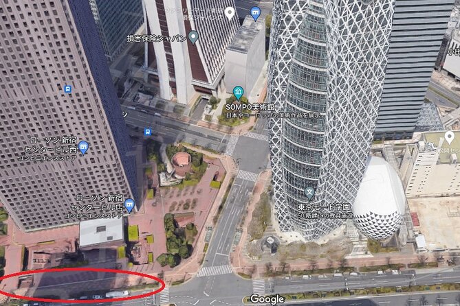 Mt. Fuji 5th Station, Owakudani Ropeway, Pirate Ship Plus Outlet Shopping! - Tour Details