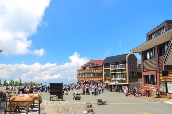 Mt. Fuji 5th Station, Owakudani Ropeway, Pirate Ship Plus Outlet Shopping! - Reviews