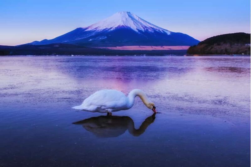 Mt. Fuji 6 Iconic Photo Spots Day Tour from Tokyo - Early Afternoon: Arakurayama Sengen Park