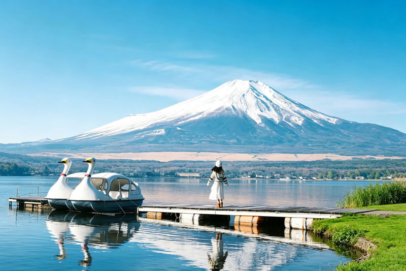 Mt. Fuji 6 Major Instagram-Worthy Photo Spots Day Tour (Departing from Tokyo / Multilingual Options Available) - Six things to know before booking