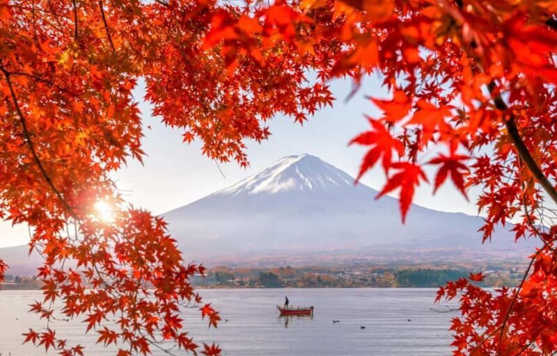 Mt.Fuji 6 Must-See Spots: Oshino& Lake Kawaguchi From Tokyo - A Practical Overview of the Tour