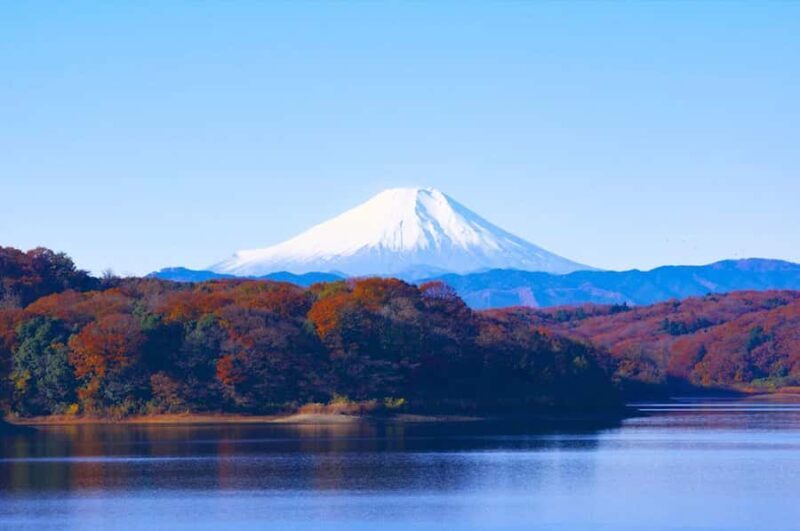 Mt.Fuji 6 Must-See Spots: Oshino& Lake Kawaguchi From Tokyo - Who Should Consider This Tour?