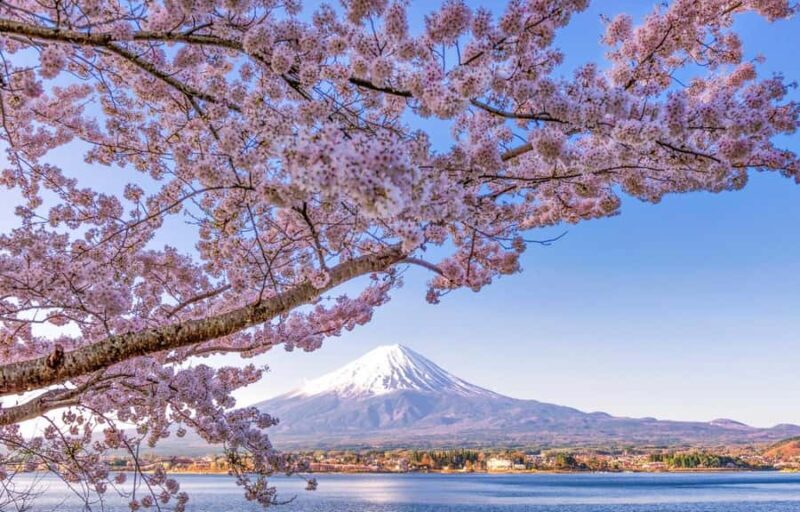 Mt.Fuji 6 Must-See Spots: Oshino& Lake Kawaguchi From Tokyo - Introduction: What to Expect from This Tour