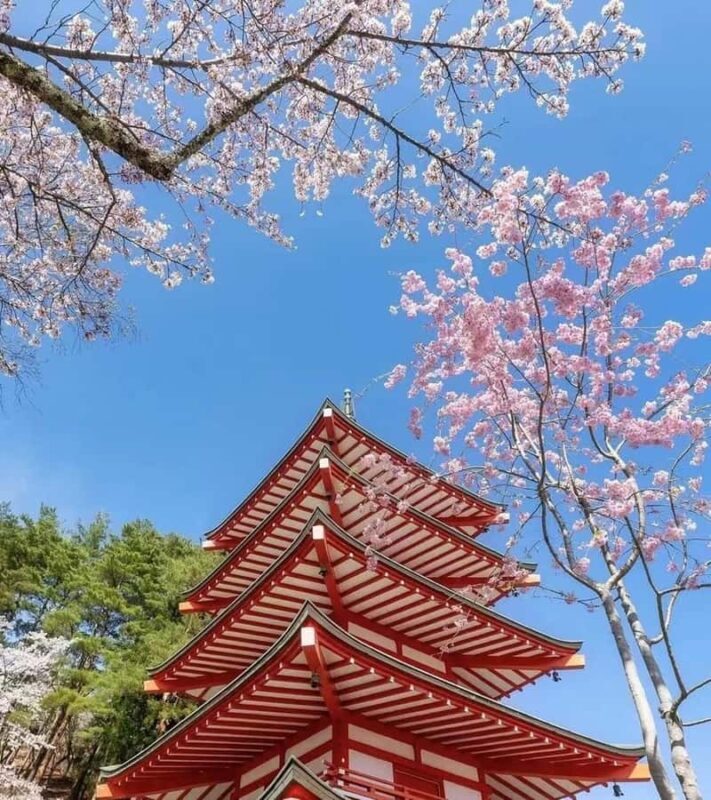 Mt.Fuji 6 Must-See Spots: Oshino& Lake Kawaguchi From Tokyo - What the Weather Means for Your Experience