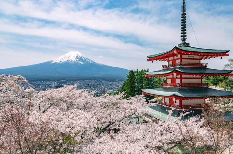 Mt.Fuji 6 Must-See Spots: Oshino& Lake Kawaguchi From Tokyo - Final Thoughts
