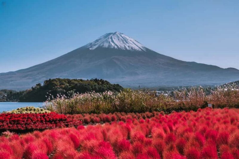 Mt. Fuji 6 Scenic Day Tour: Kawaguchiko & Lake Yamanaka - Who Should Take This Tour?