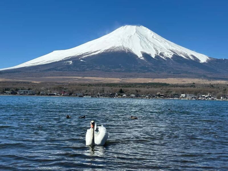 Mt. Fuji 6 Scenic Day Tour: Kawaguchiko & Lake Yamanaka - Final Thoughts: Is It Worth It?