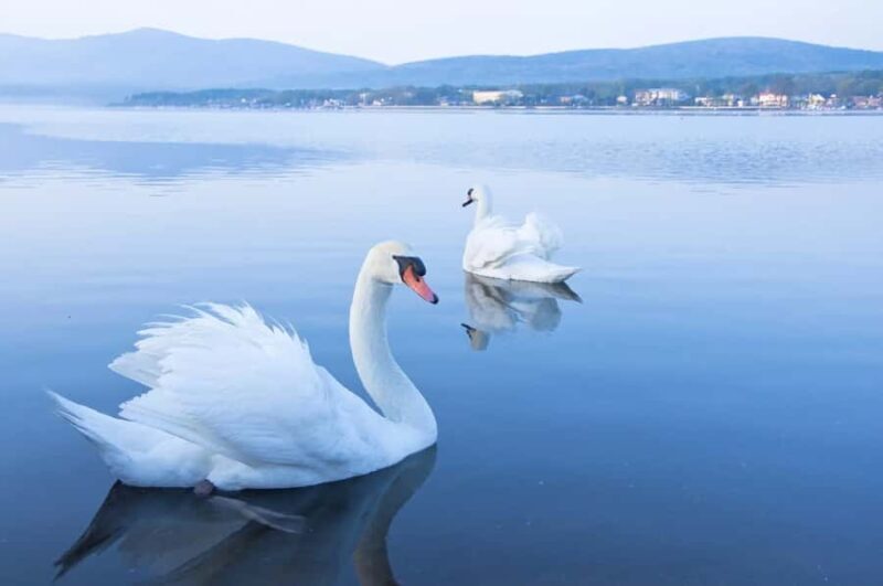 Mt. Fuji 6 Scenic Day Tour: Kawaguchiko & Lake Yamanaka - FAQ