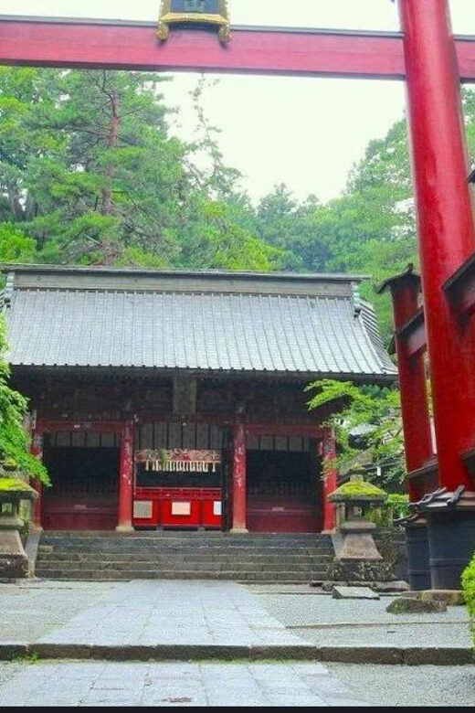 Mt.FUji and Cherry Blossom Full Day Trip with English Driver - Why This Tour Could Be Perfect for You