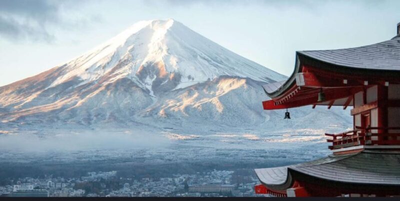 Mt.FUji and Cherry Blossom Full Day Trip with English Driver - Practical Tips for Booking and Enjoying  